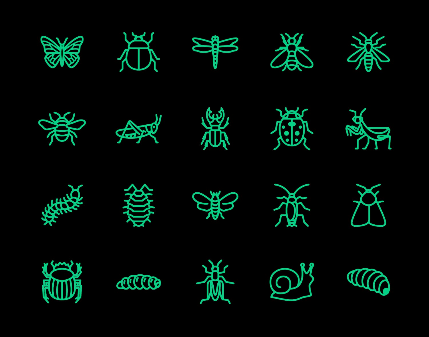 Illustrations of various insects.