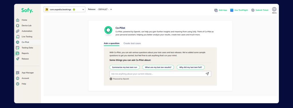 Screenshot showing the Co-Pilot page where you can ask the bot any questions related to testing. 
